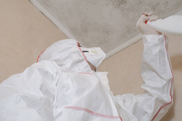 Crawl Space Mold Removal in Springfield, TN